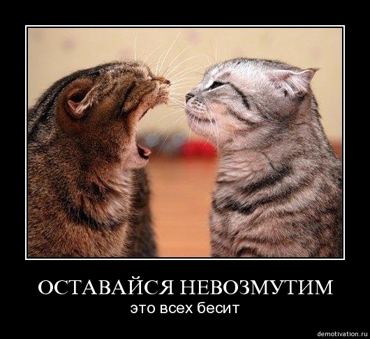 0a32b1c3baeaead816838e72c5e10fe3.jpeg