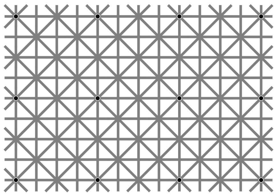 14311421_1299548403389879_576265798721939235_o.jpg