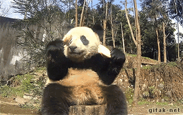 1445323403123040169.gif