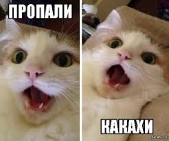 1590991132694.png