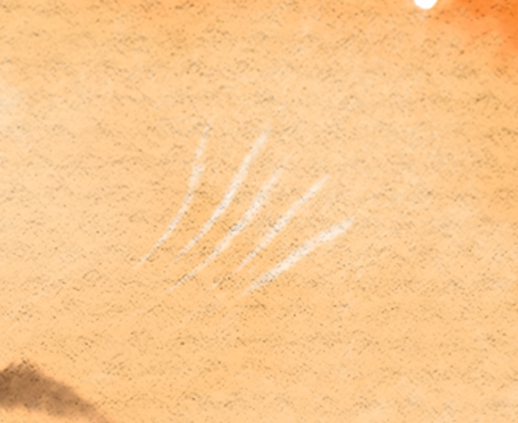 1591801692447.png
