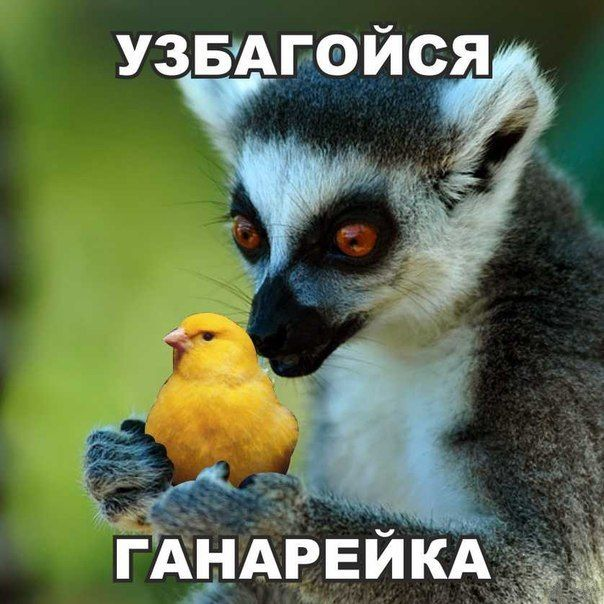 1604352851265.png