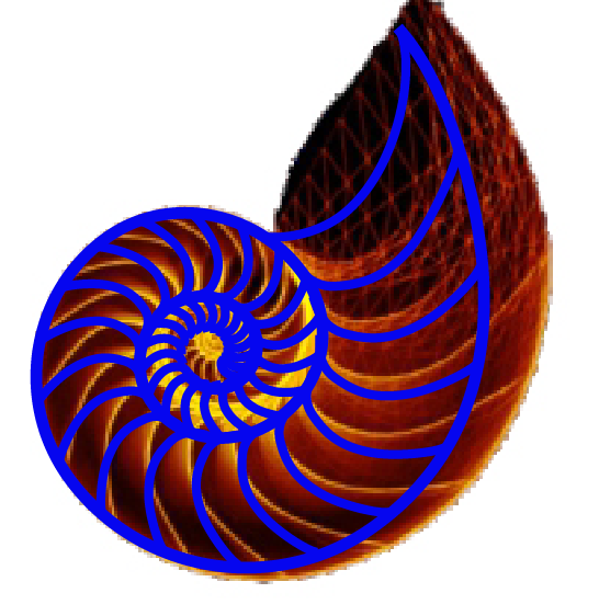 1629910004039.png
