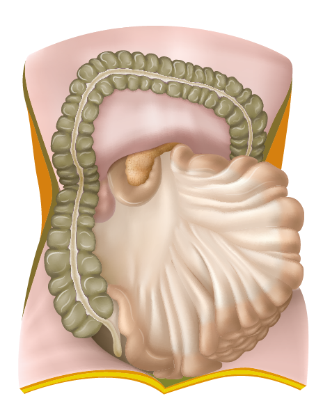 1662130722486.png