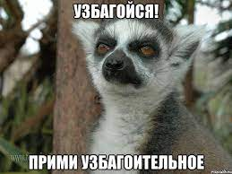 1663765357591.png