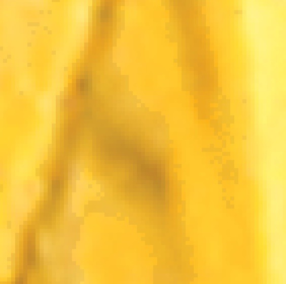 1672331729141.jpeg