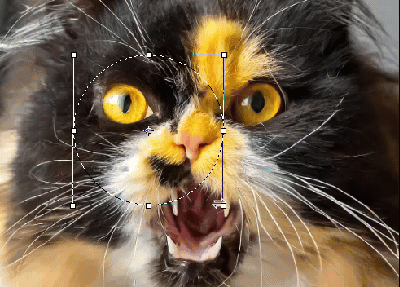 2024-03-20_00-07-30.gif