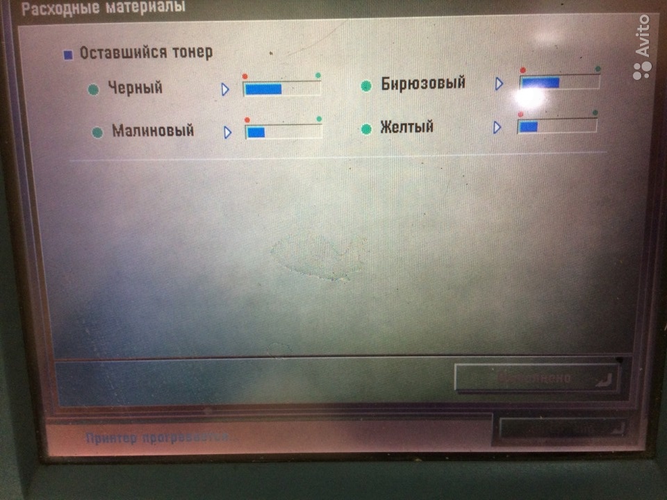 3922642741.jpg