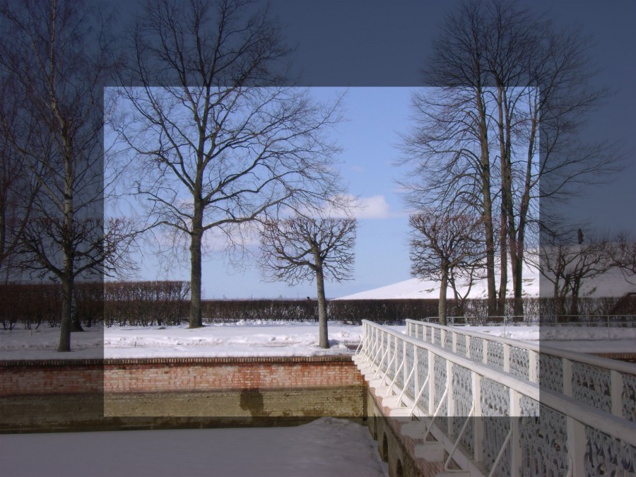 4850_900.jpg