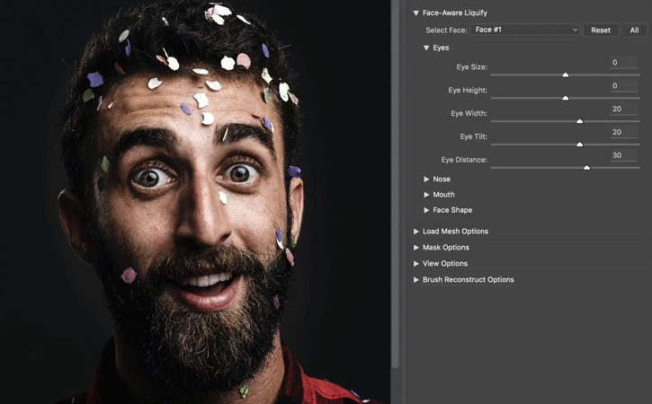 5549-face-aware-liquify_step-2.gif