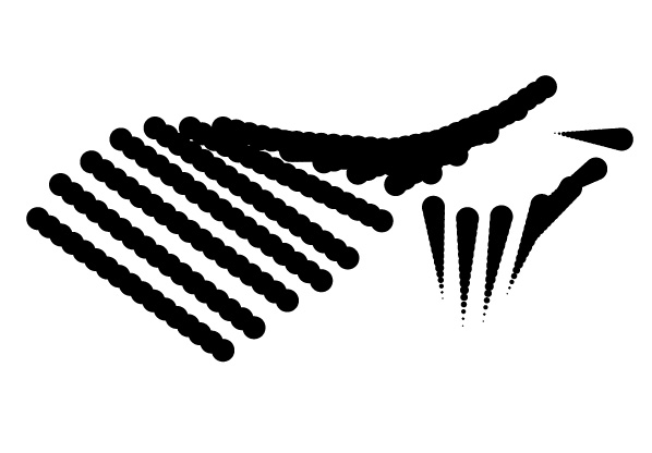 567.jpg