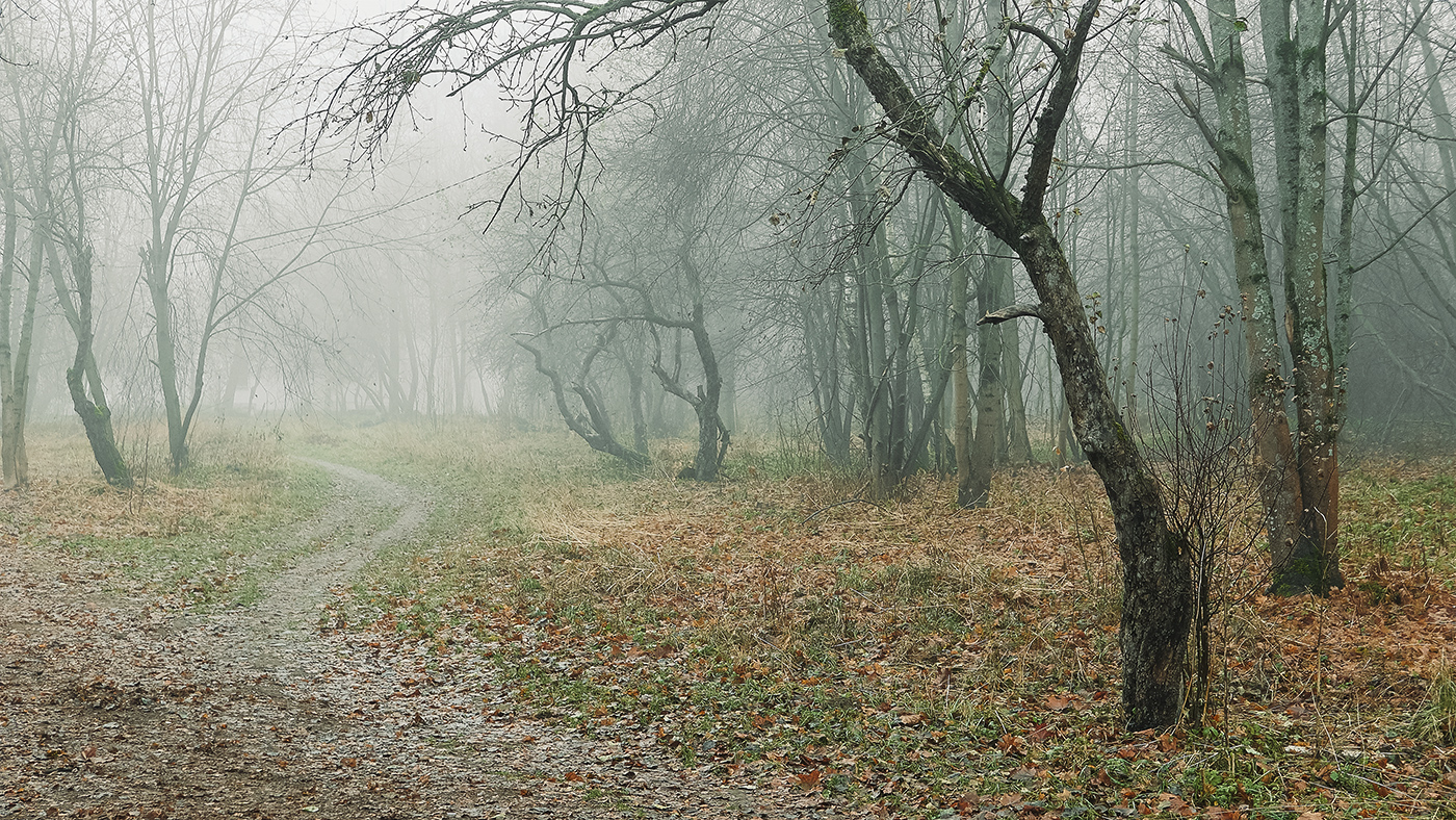 _1090141.jpg