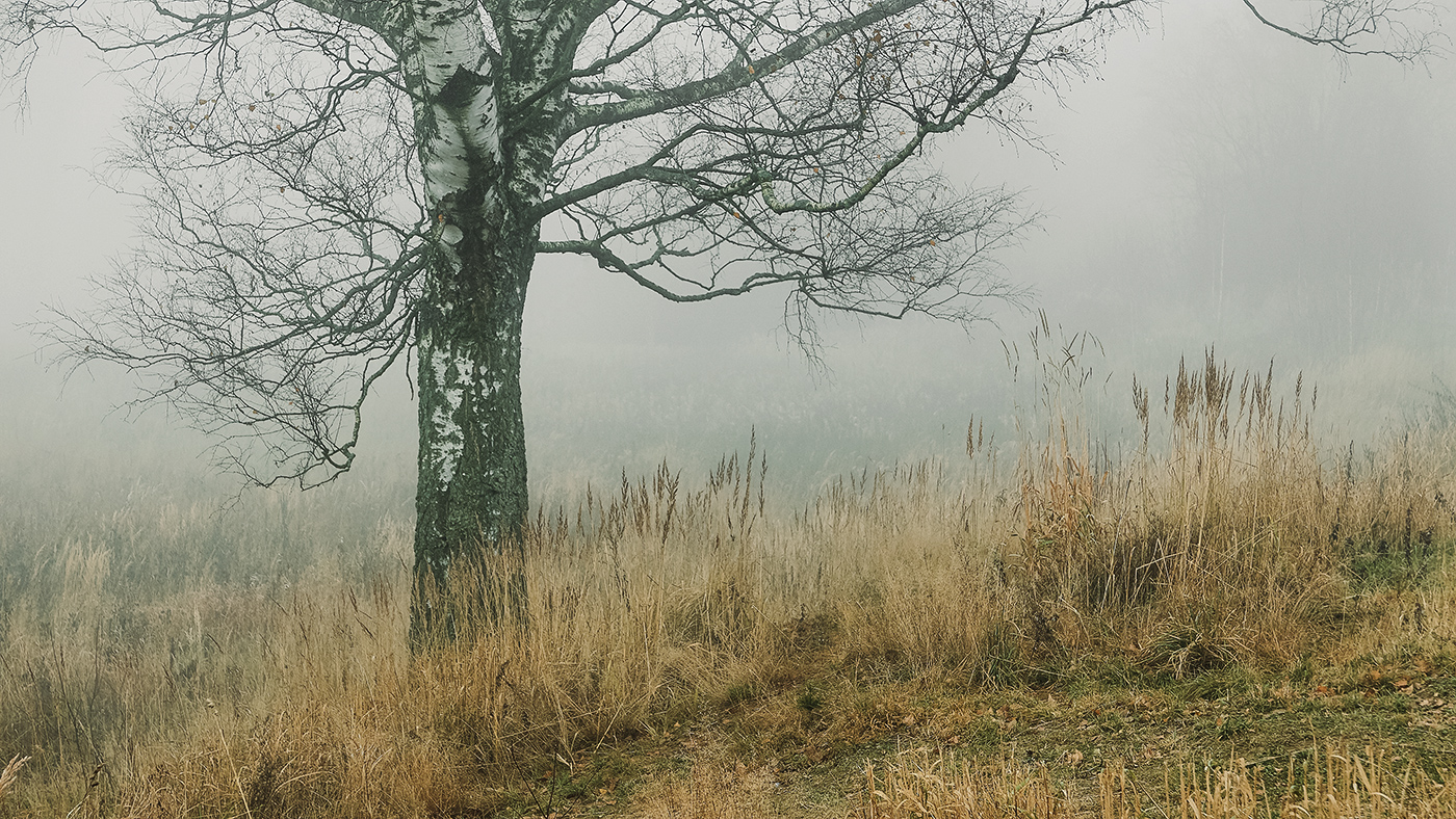 _1090240.jpg