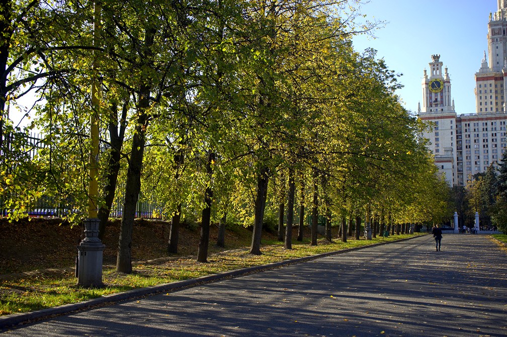 _DSC0595-tn2.JPG