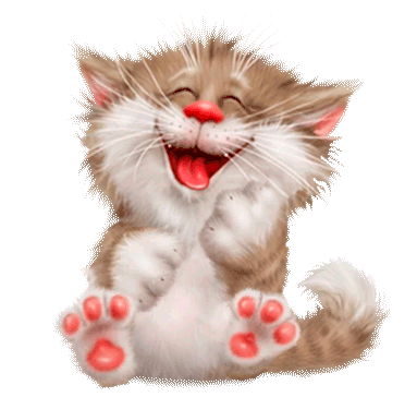 cat_transparent_no_sleza.gif