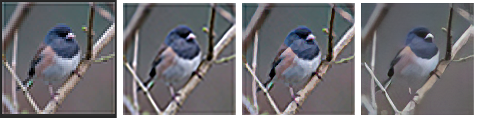 comp.png