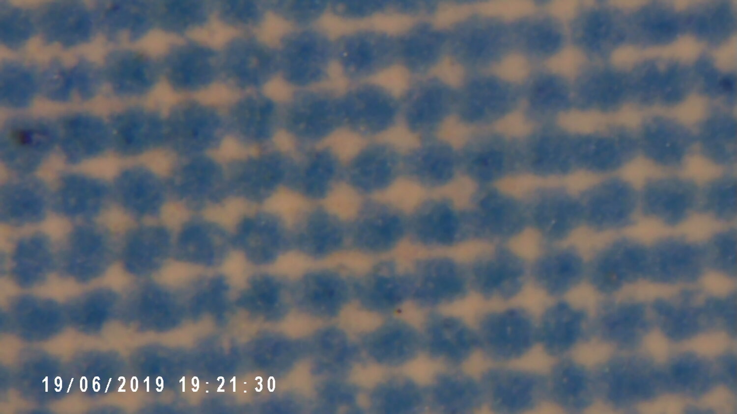 Cyan_40%jpg.jpg