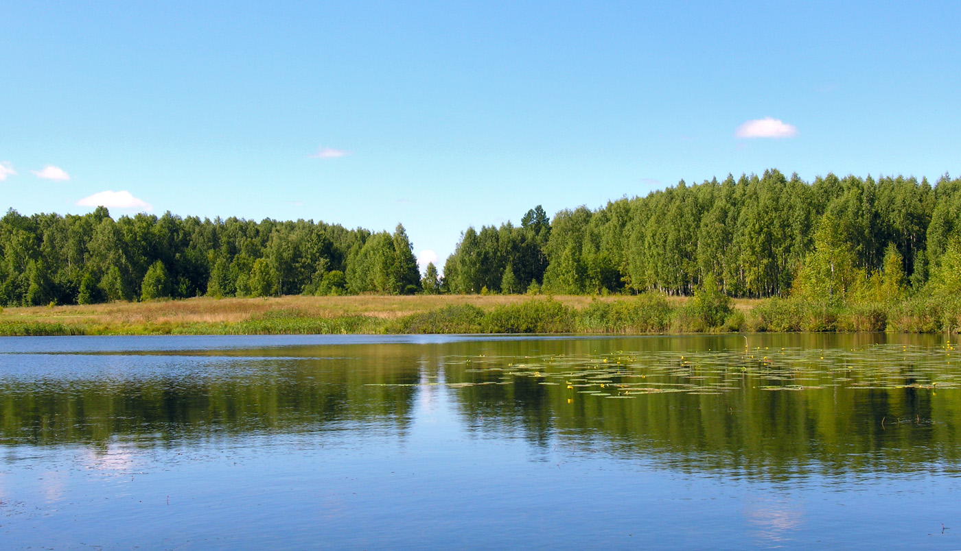DSCN2465.jpg