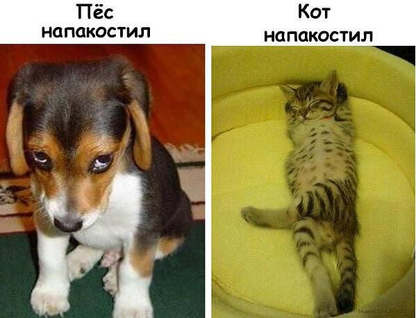 getImasdfdge.jpeg
