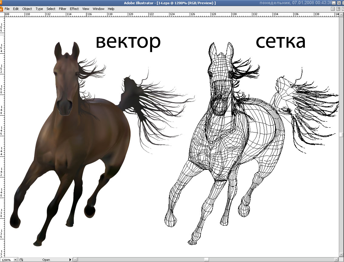 horse.jpg