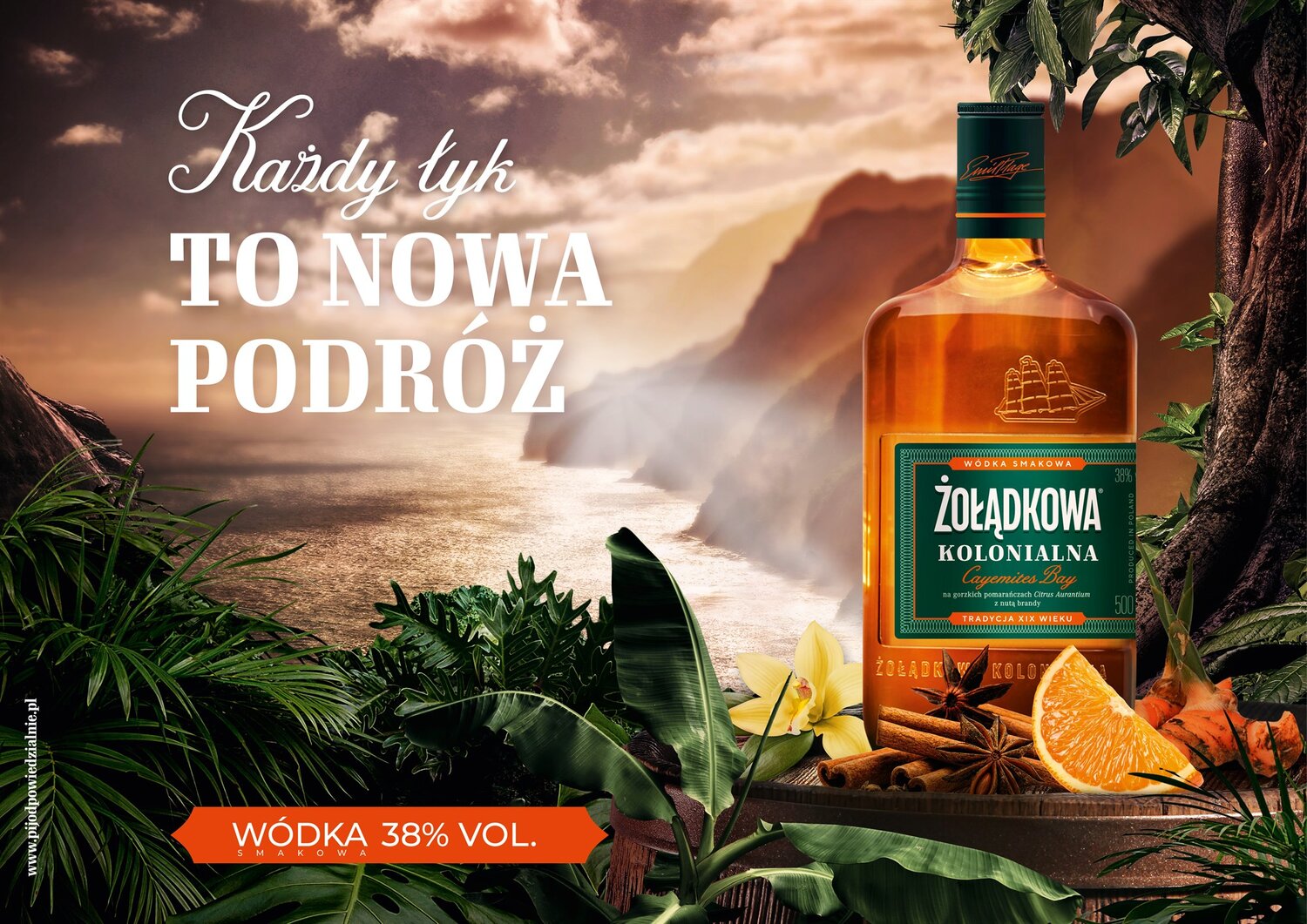 kolonialna_kv_poziom_b102_2000x1414.jpg