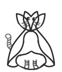 miao.jpg