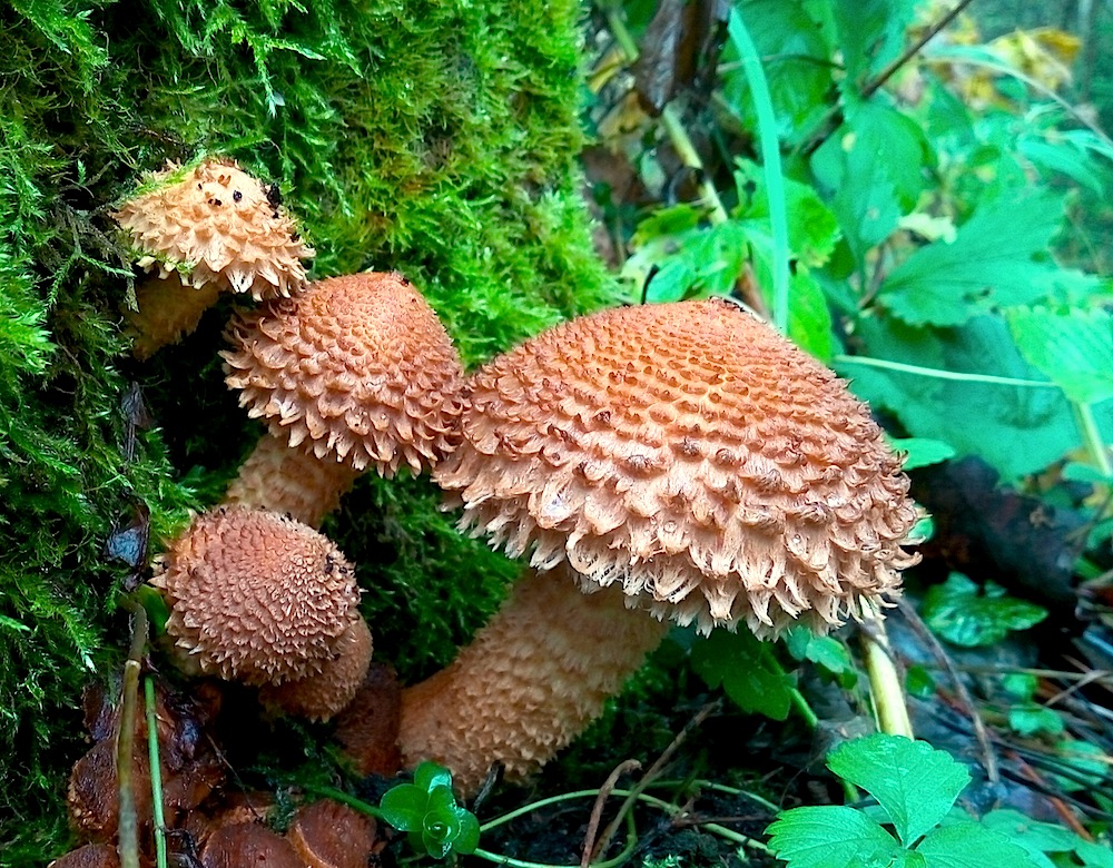 P71014-110336.jpg
