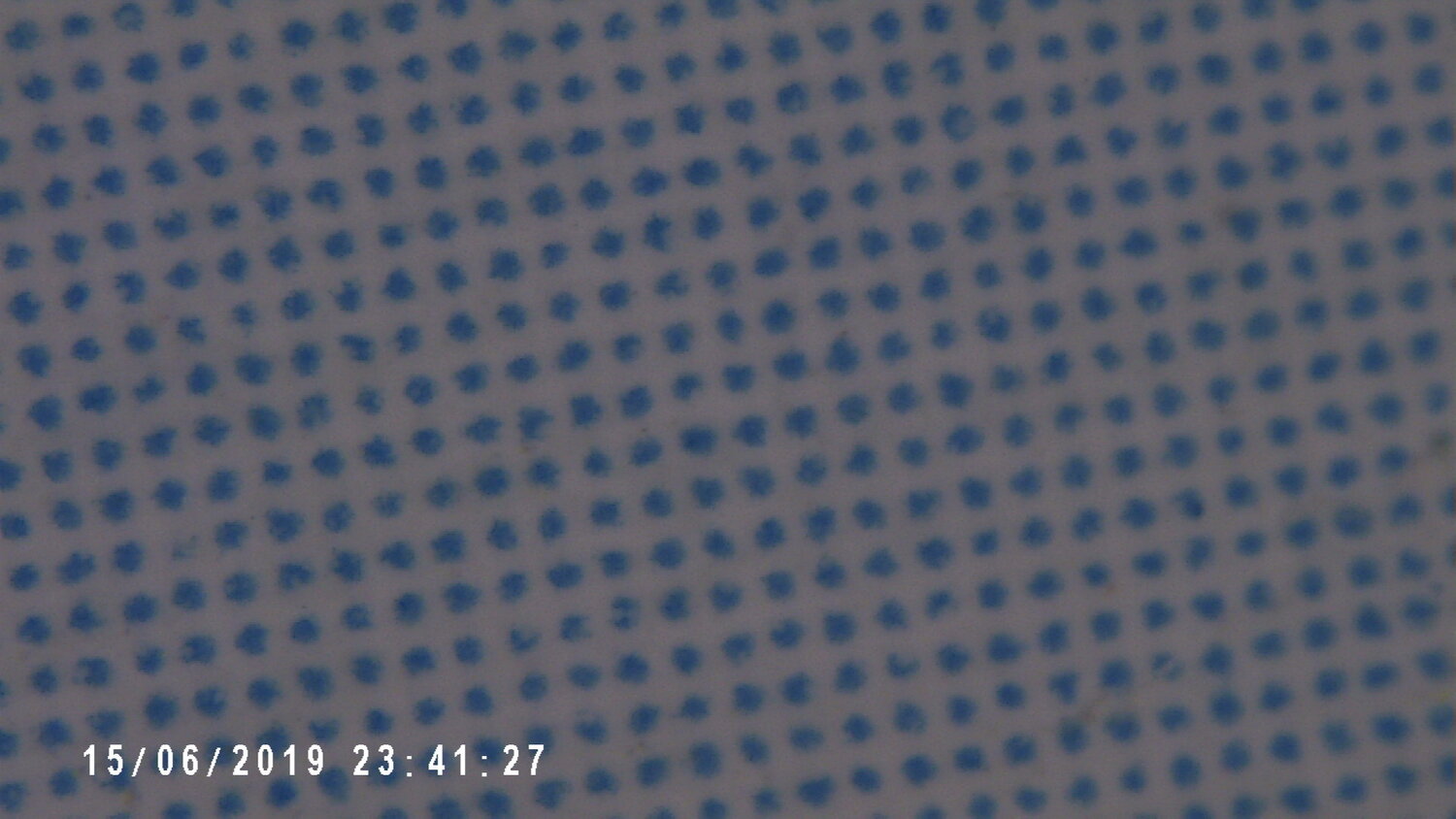 PICT0006.jpg