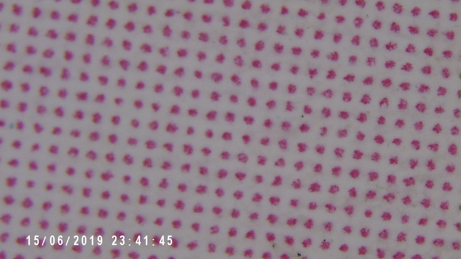 PICT0007.jpg