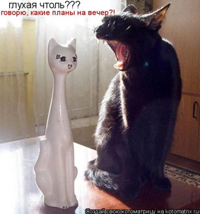 Picture 6.png