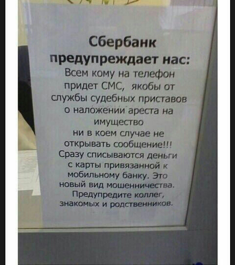 pred.jpg