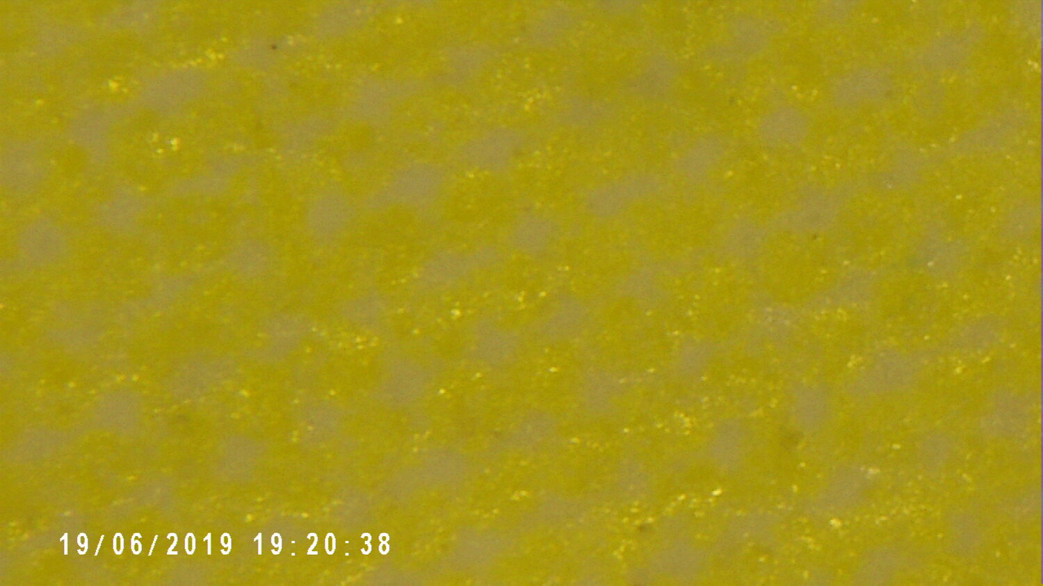 Yellow_40%.jpg