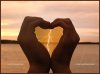 heartproject1-copy.jpg