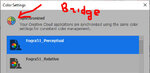 Bridge_ColorSettings.jpg