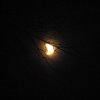 IMG_2317.jpg