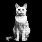 000001.png