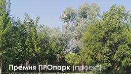 Screenshot_17.jpg