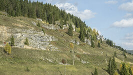DSC02994.jpg