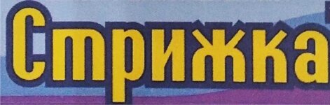 вывеска Стрижка Ти.jpg