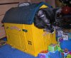 catshouse.jpg