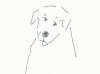 Dog1.jpg