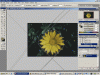 corel022.gif