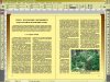 шрина колонок - 6.JPG