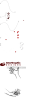 creativgpng2.png