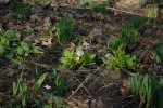 IMGP7344_small.jpg