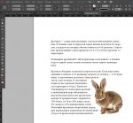IndesignCC.jpg
