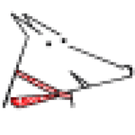 Kyon