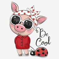 Psy