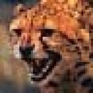 Lynx