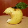 Андрей Сущенко